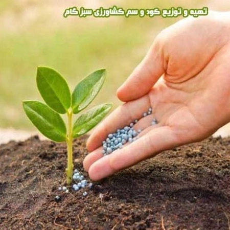 Preparation and distribution of agricultural fertilizers and pesticides in Sabzegam in Benab