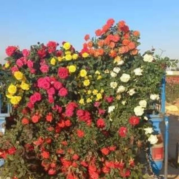 1710225338146.webp