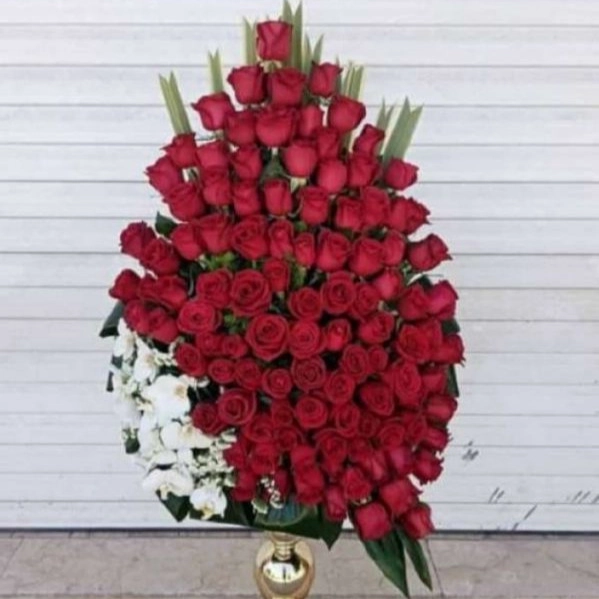1710398608527.webp