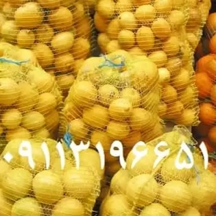1710655375181.webp
