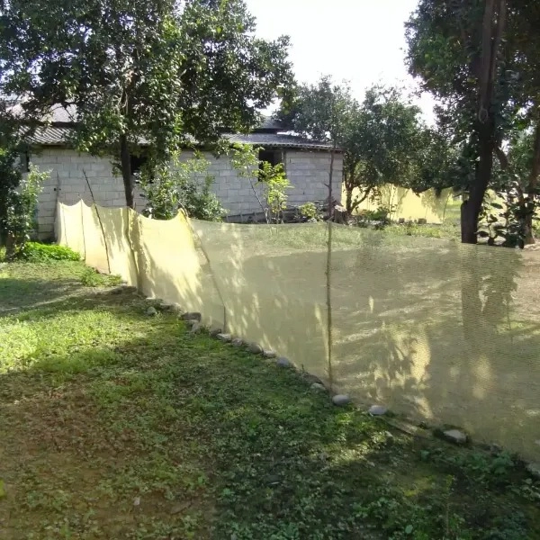 1710656945183.webp