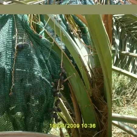 1710657899874.webp