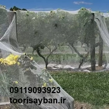 1710658026558.webp