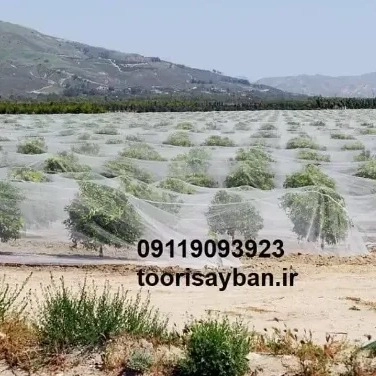 1710658041218.webp