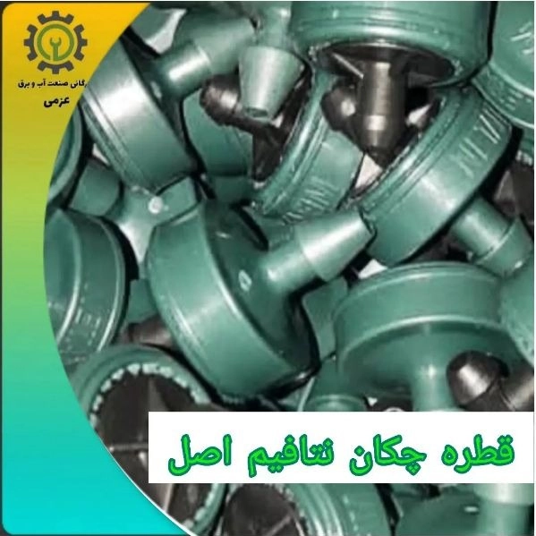 1712138938546.webp