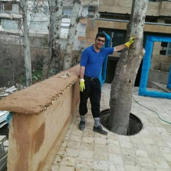 1713344773037.webp