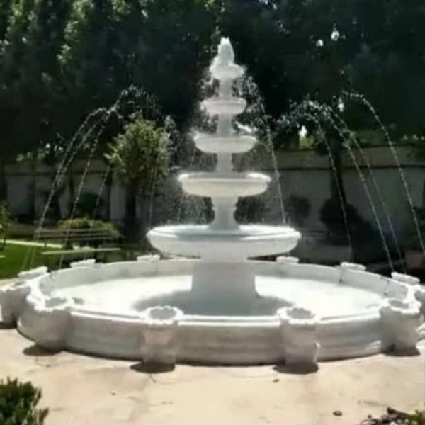 1713598785559.webp