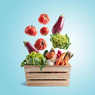 Marini summer vegetables, sale of all kinds of cabbage and bell pepper summer vegetables in Khuzestan, Behbahan