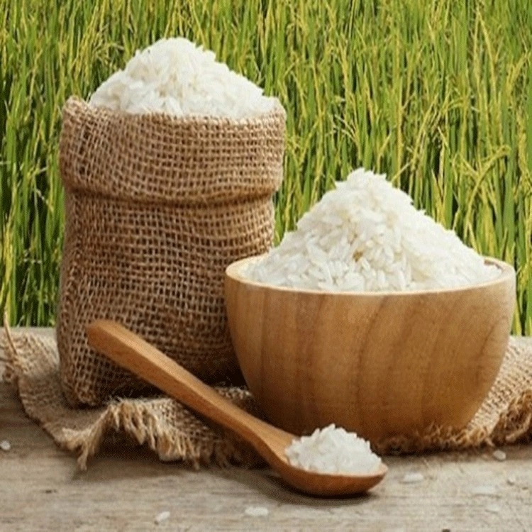 برنج عفتی، فروش برنج هاشمی طارم در مازندران