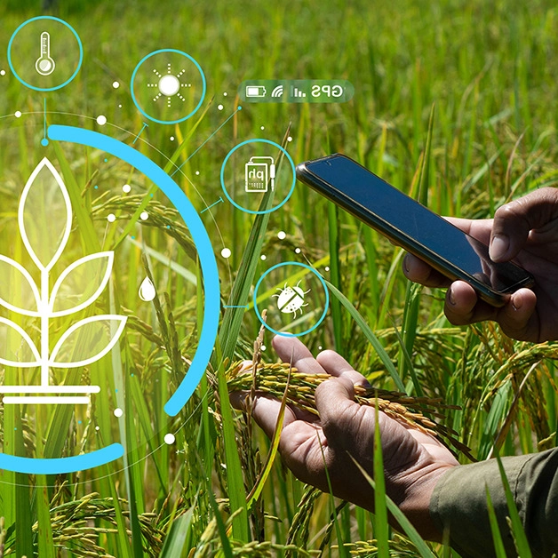 Hosseini Agricultural Holding, nationwide distributor of fertilizers and agricultural tools in Tehran