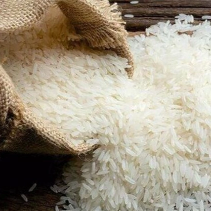 Khodadadi rice, sale of Fajr black tail rice in Aliabad, Golestan