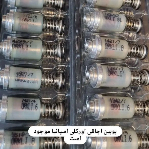 1718446312900.webp