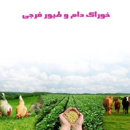 خوراک دام و طیور فرجی، تهیه و پخش خوراک دام در میاندوآب آذربایجان