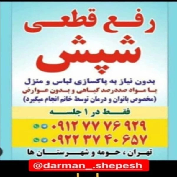 1722238538952.webp