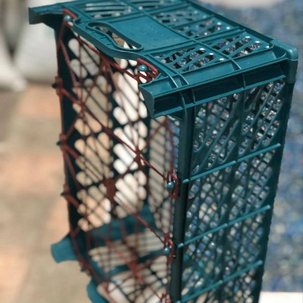 گروه صنعتی مجید پلاست شندی، تولید انواع سبد پلاستیکی میوه در تبریز