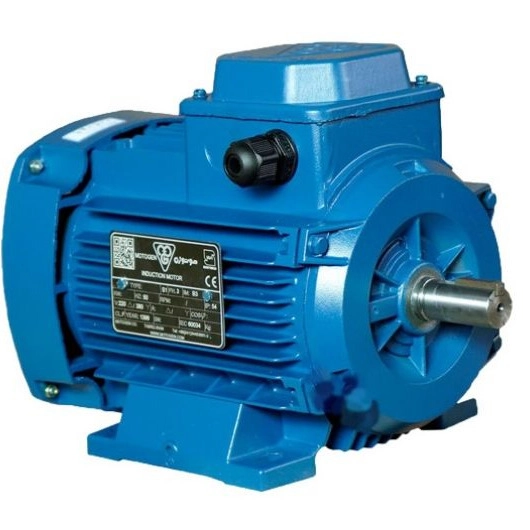 Saber winding, exchange and repairs of single-phase and three-phase electric motors in Ferdis