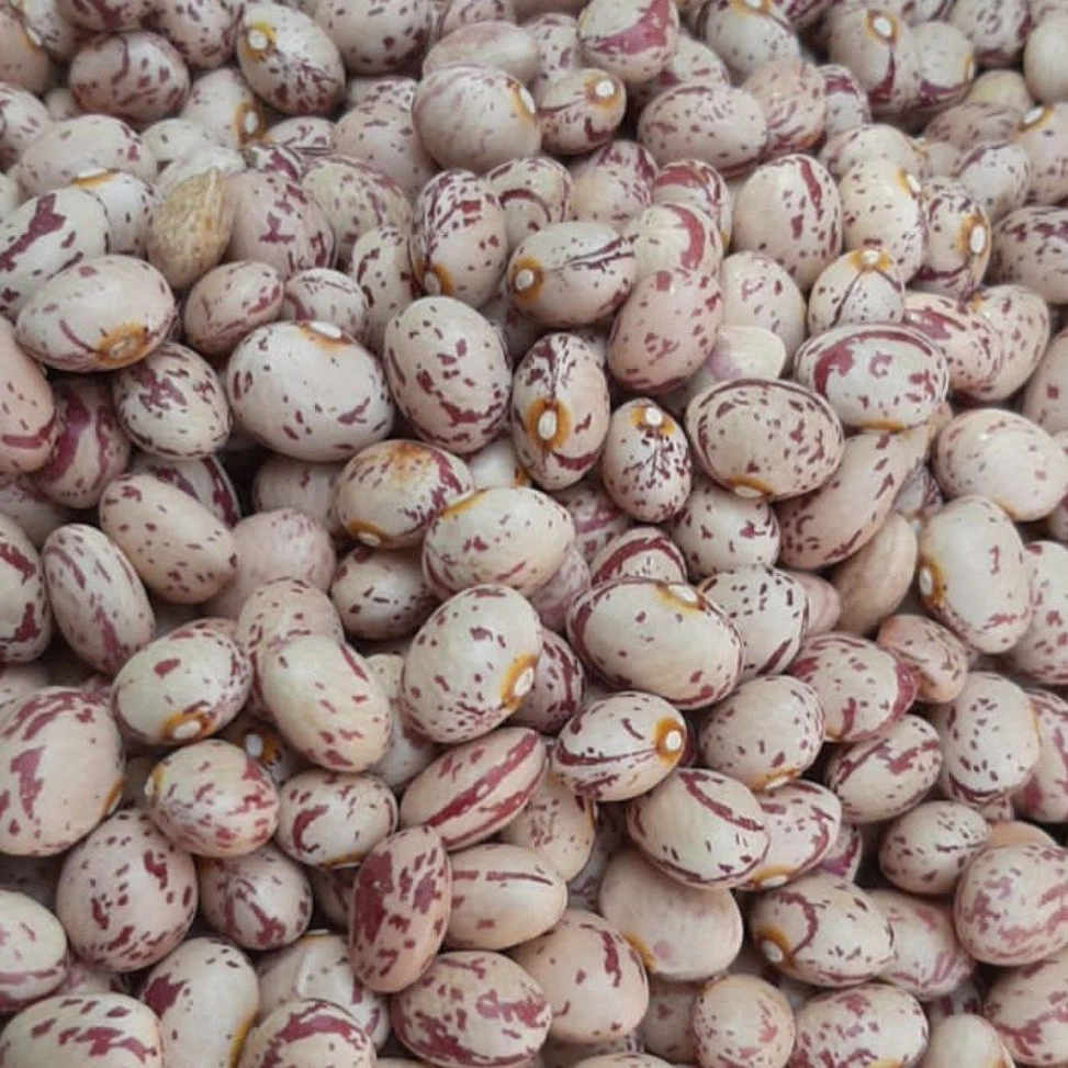 Ali Mohammadi Brothers Sorting, wholesale sale of Pakistani beans and rice in Arak