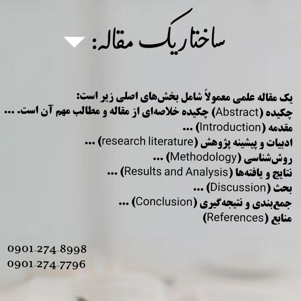 1728505419758.webp
