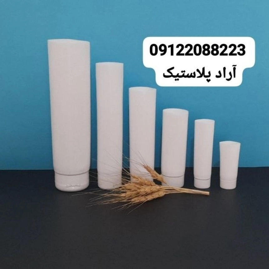 1729490510740.webp
