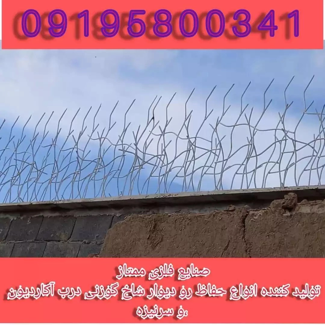 1729500780777.webp