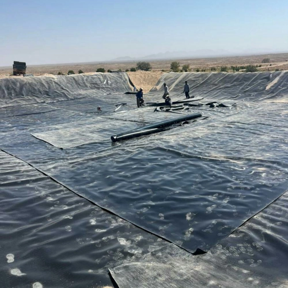 مجموعه زیستاب