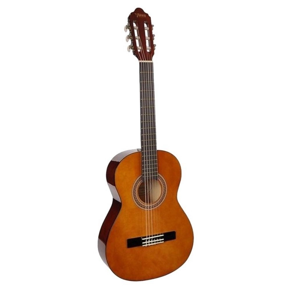 Mohsen Golpo'nun gitarı