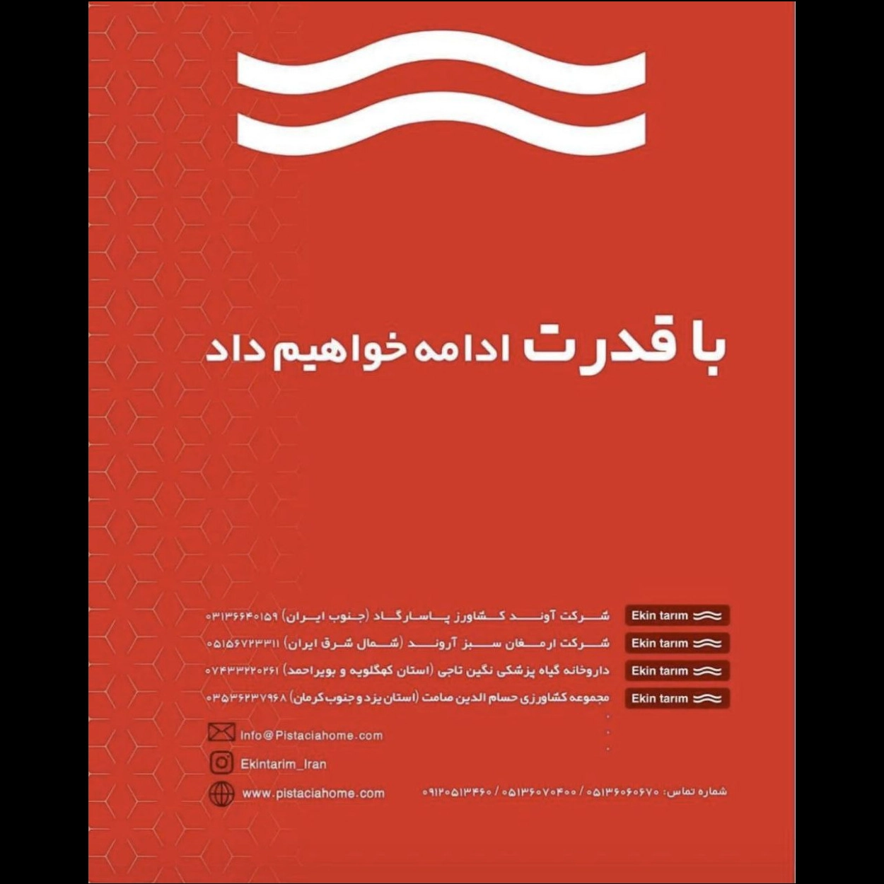 1732094802108.webp