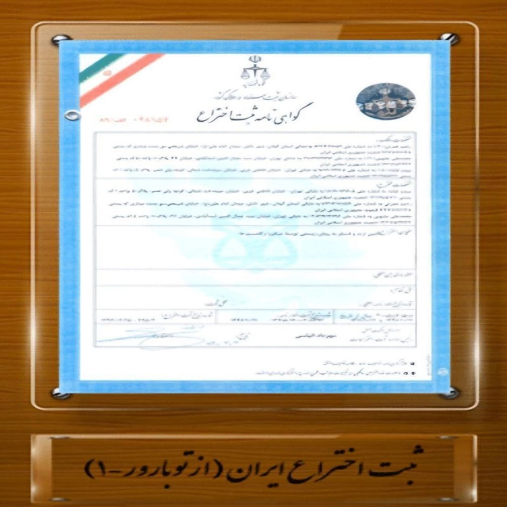 1732945294561.webp