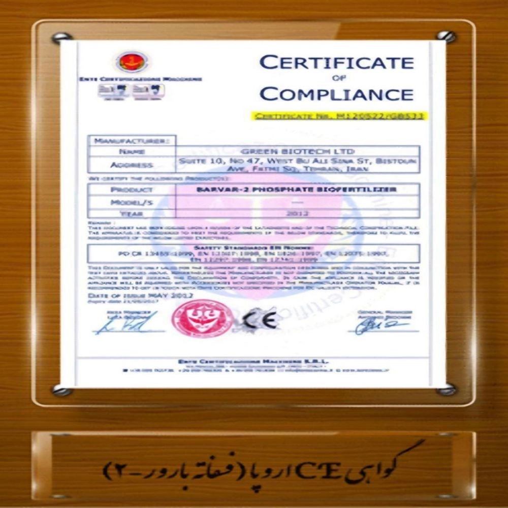 1732945346623.webp