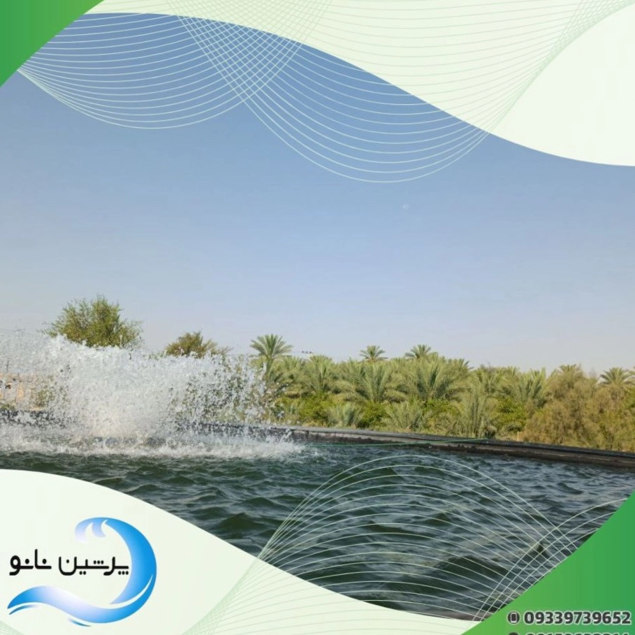 1732981730710.webp