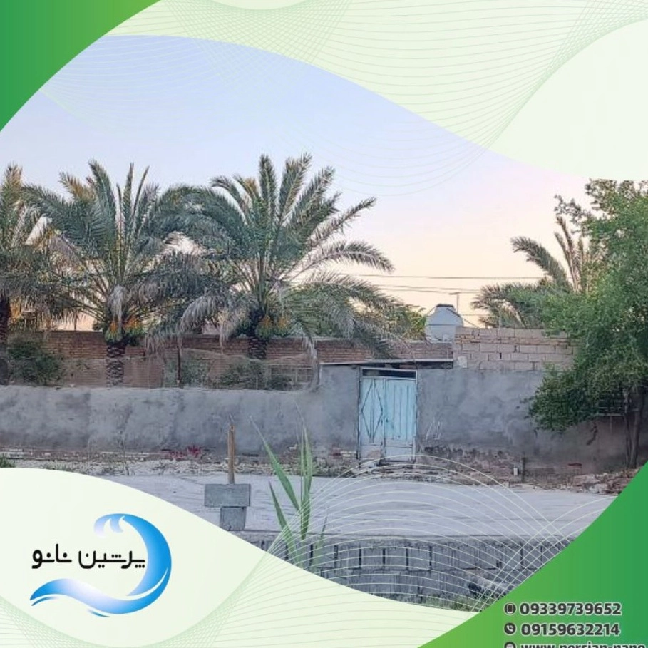 1732981754279.webp