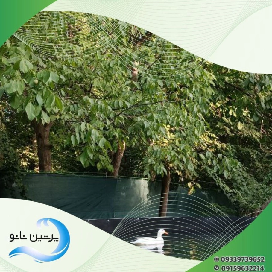 1732982050358.webp