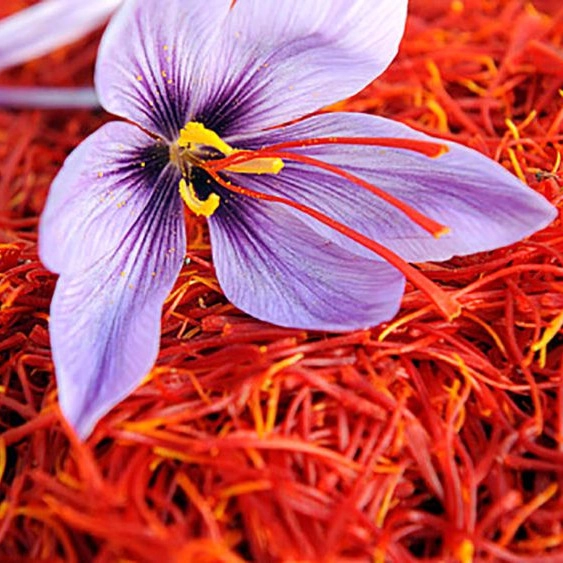 زعفران قاسمی