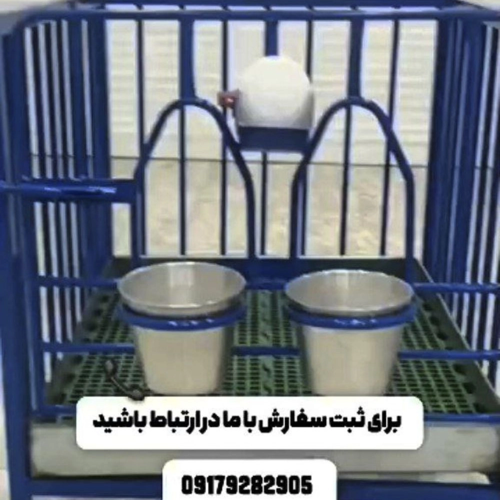 1736666875967.webp