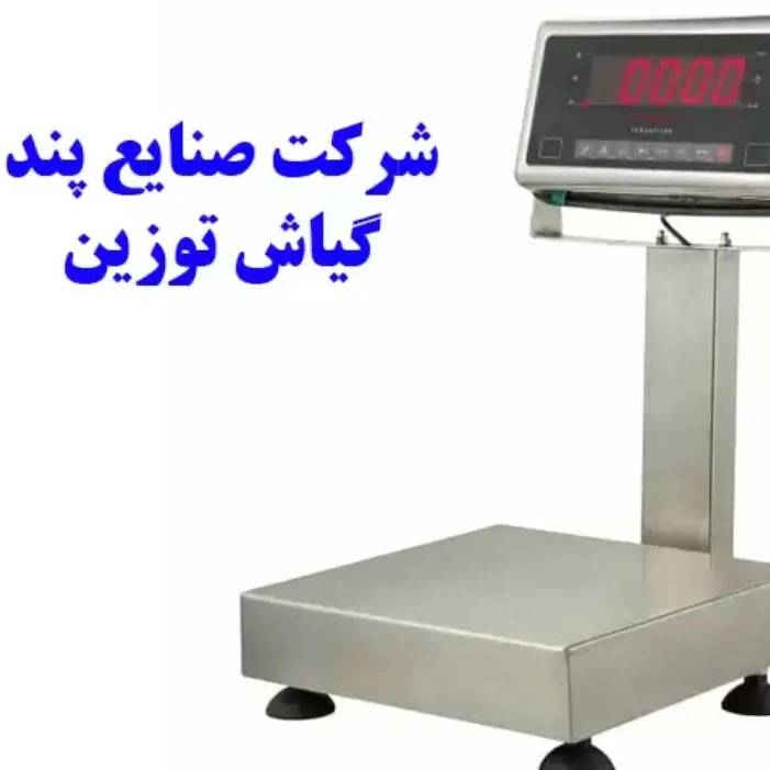 1738409419417.webp