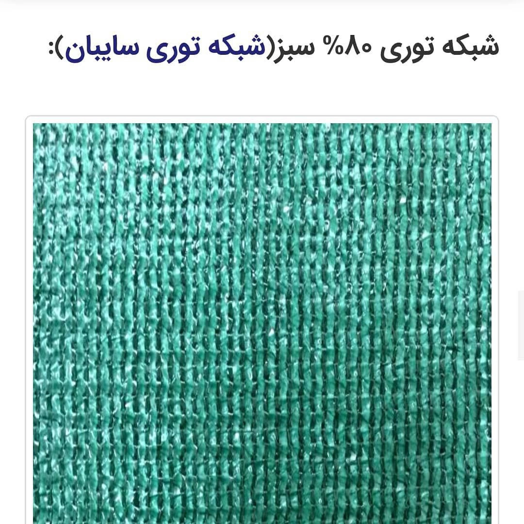1739095701306.webp