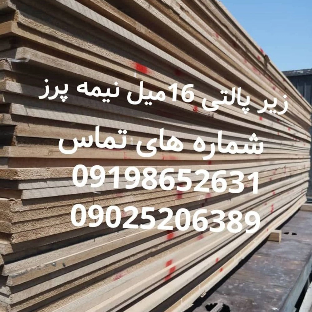 1744264320196.webp