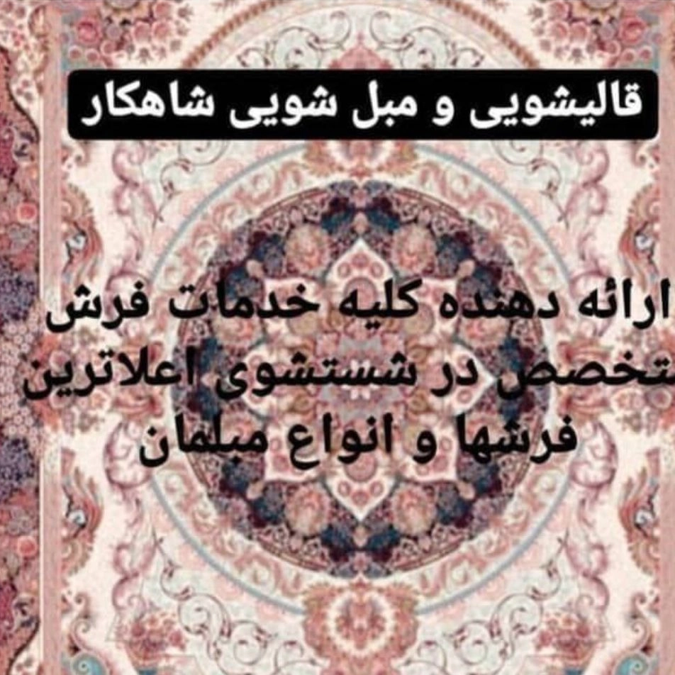 1746260172261.webp