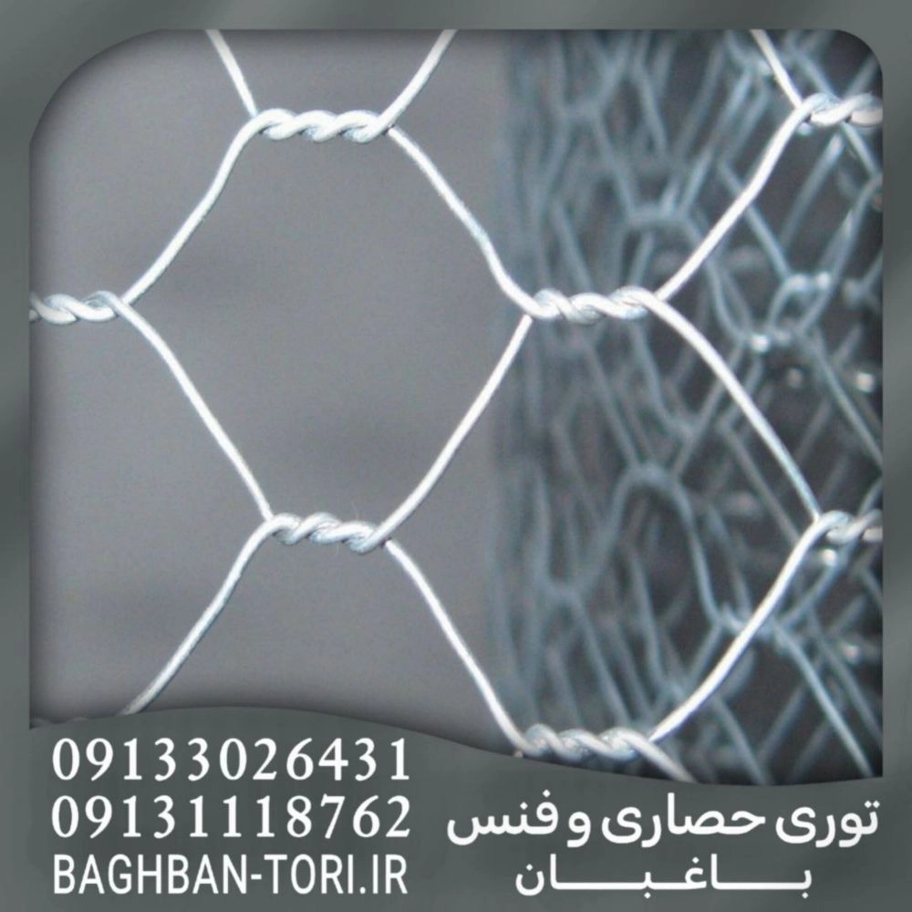 1746689150586.webp