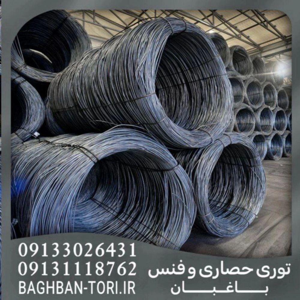 1746689538568.webp
