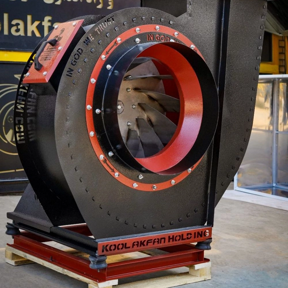 1747029069694.webp 1747029069694.webp