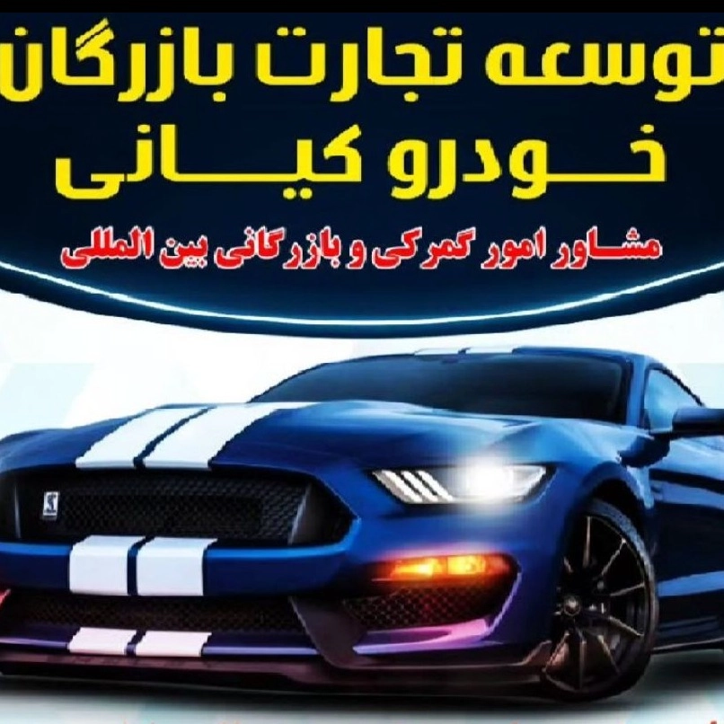 Development of Kiani Automotive Businessmen