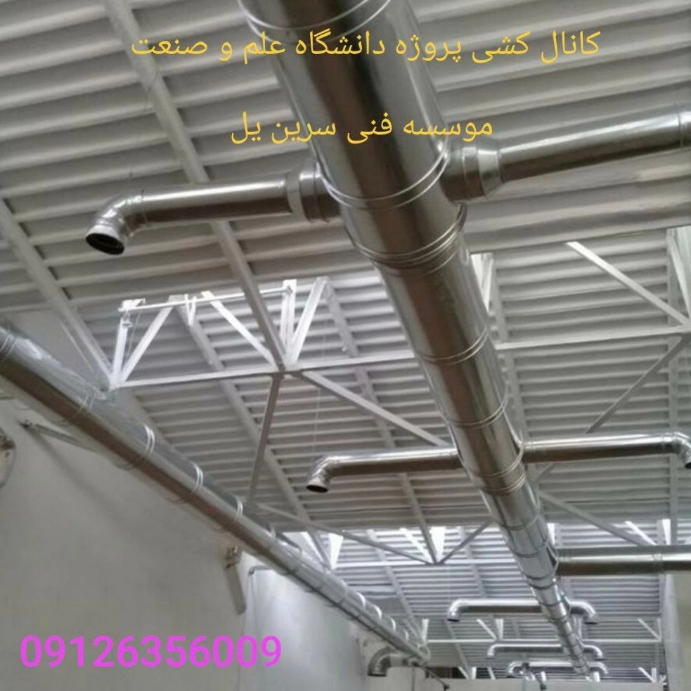 1749467985479.webp