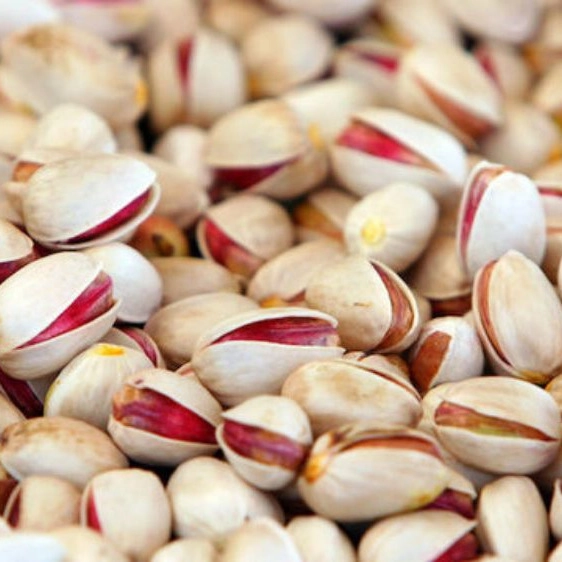 شرکت بازرگانی درخشان صادرات