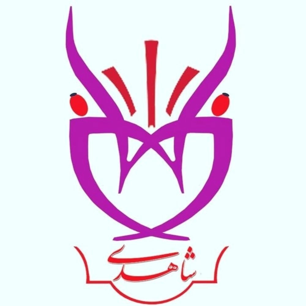 فروشگاه شاهدی