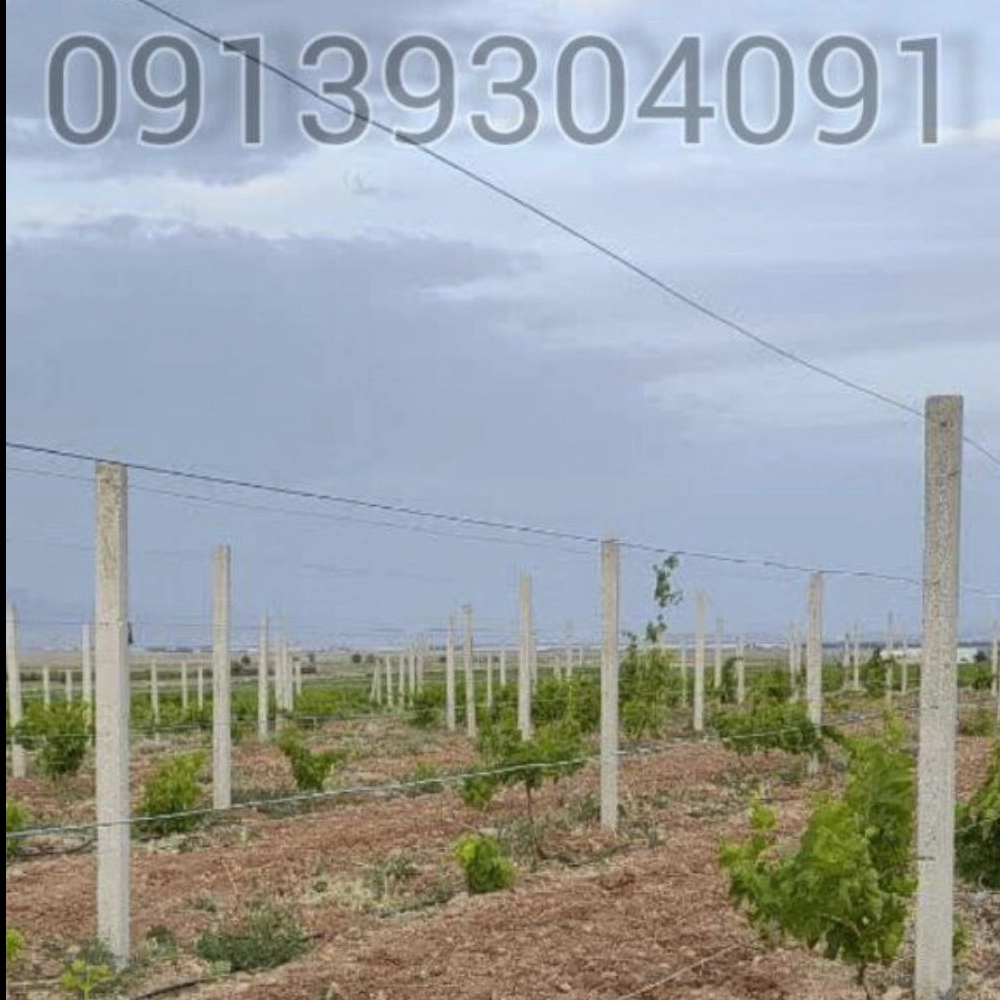 1753088588881.webp