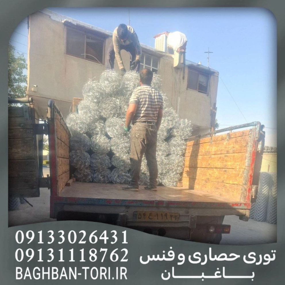 1755062499604.webp