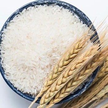کارخانه برنج کوبی ولیعصر انواع برنج ایرانی عنبربو چمپا در شادگان خوزستان