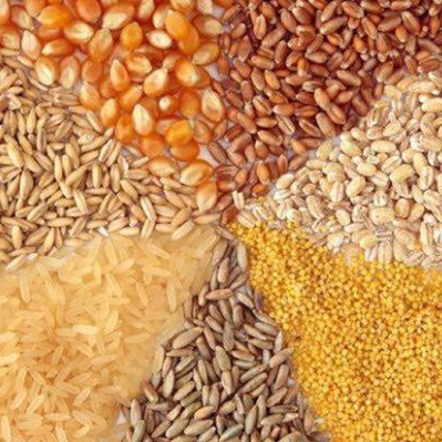 Wholesale sale of Caspian grain livestock and poultry feed in Tehran