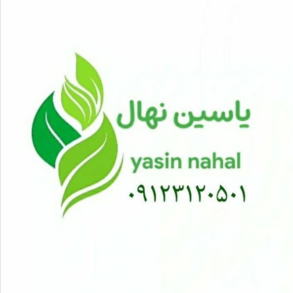 Yasin nursery in Damavand